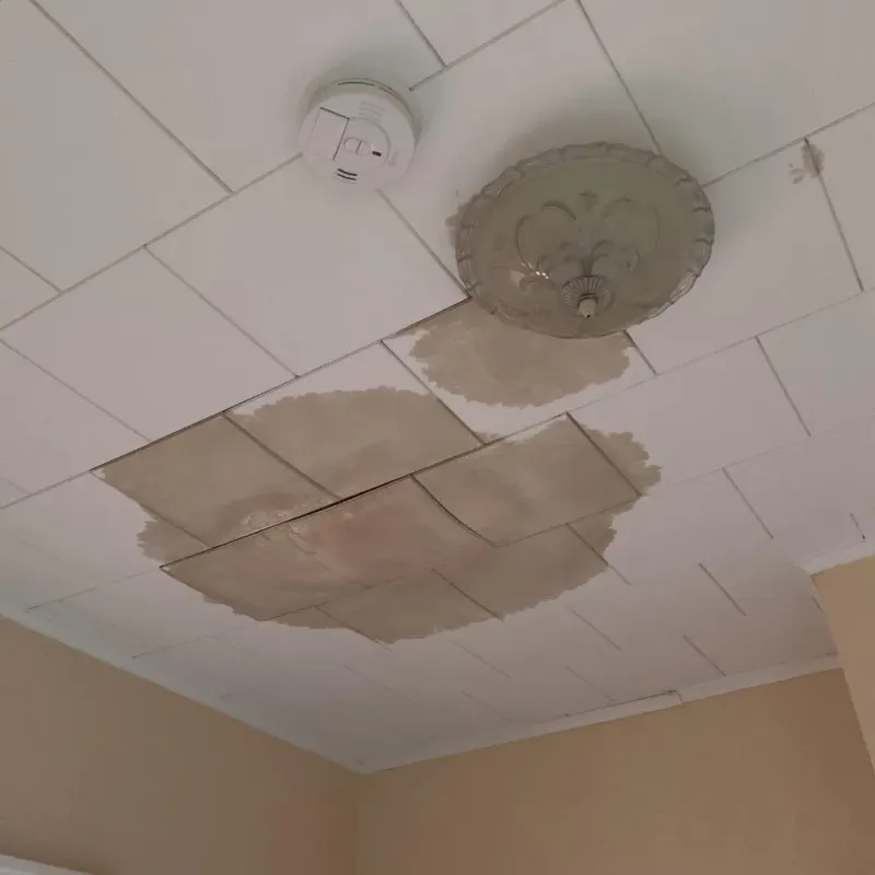 Ceiling Water Damage Repair in North Falmouth, MA