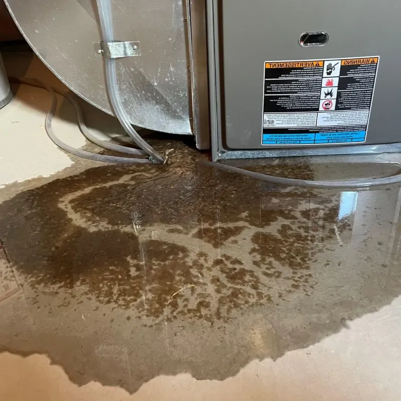 Pipe Burst and Leak Restoration in North Falmouth, MA